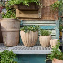 Urtepotte - Freja Antique L - SENDES IKKE