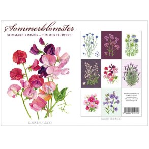 Kortmappe 8 stk - Sommerblomster