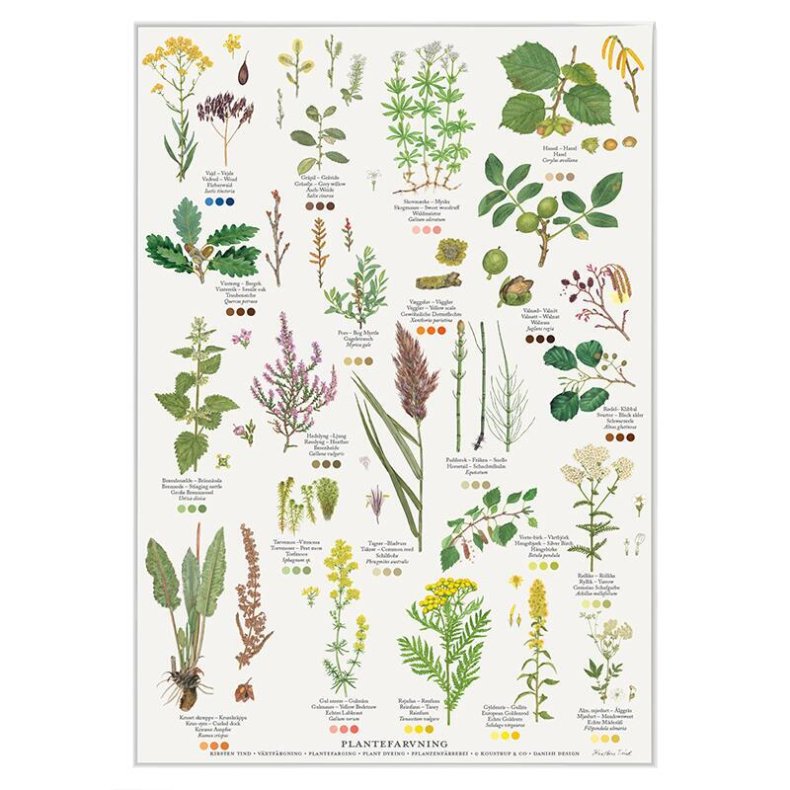 Plakat A4 - Plantefarvning