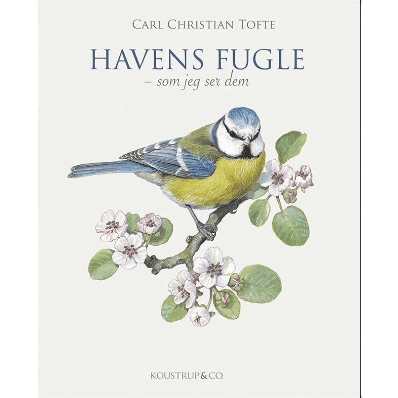 Bog - Havens fugle