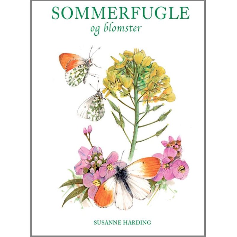Bog - Sommerfugle og blomster 