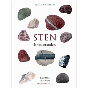 Bog - Sten langs stranden - Naturserien