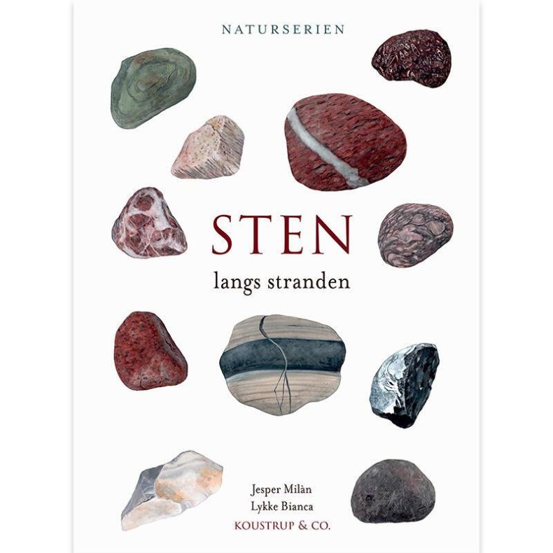 Bog - Sten langs stranden - Naturserien