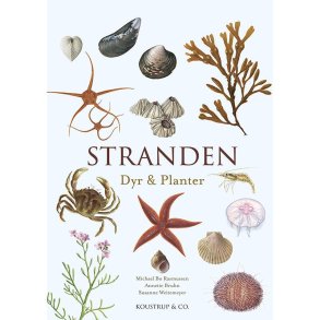 Bog - Stranden - Naturserien 