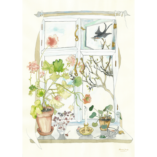 Plakat A4 - Swallow in window - Theresa Jessing- Kunstprint 