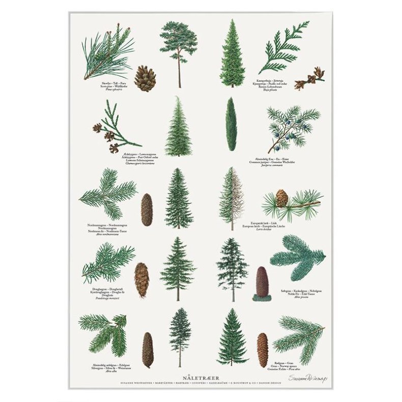 Plakat A4 - Nletrer