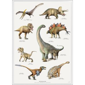 Plakat A4 - Dinosaur
