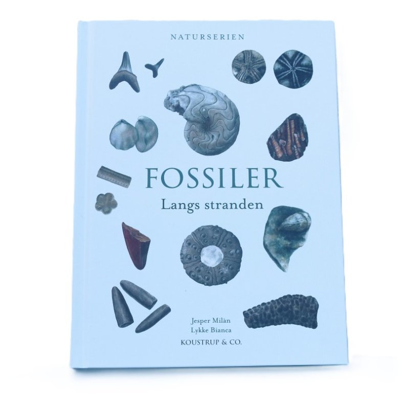 Bog - Fossiler langs stranden - Naturserien 
