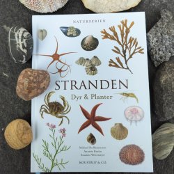 Bog - Stranden - Naturserien 