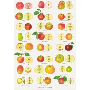 Plakat A4 - Smagfulde bler