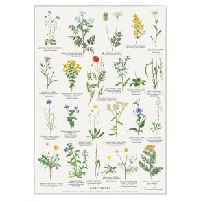 Plakat A4 - Gr�ftekant 