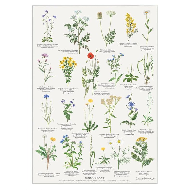 Plakat A4 - Gr�ftekant 
