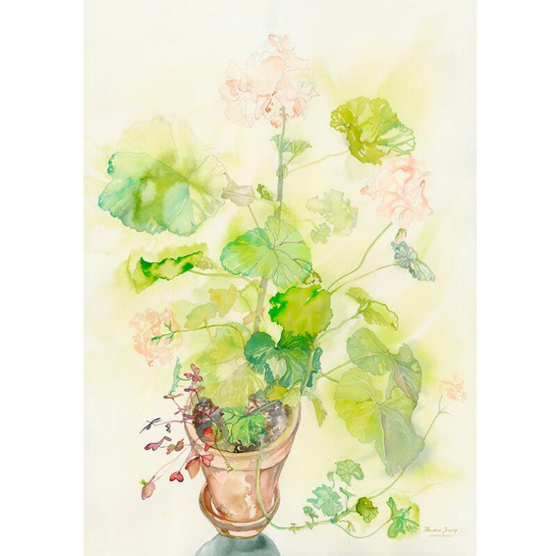 Plakat A3 - Pelargonium - Theresa Jessing- Kunstprint