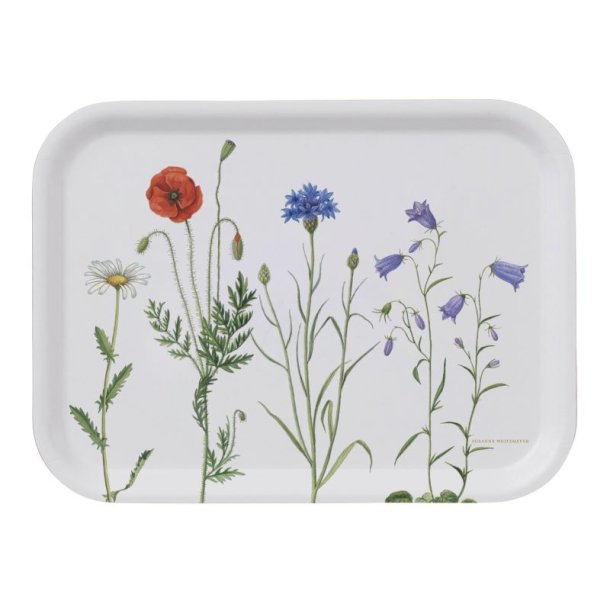 Bakke - Gr�ftekant - 20 x 27 cm