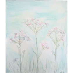 Rosa skrmblomst II - 50 x 60 cm