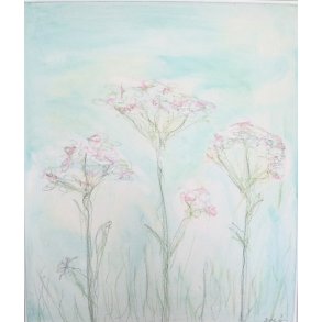 Rosa skrmblomst II - 50 x 60 cm