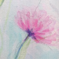 Rosa eng - 50 x 60 cm