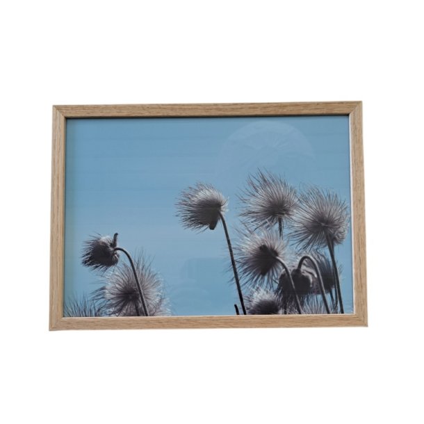Ramme - 21 x  29,7cm (A4) - egetr�