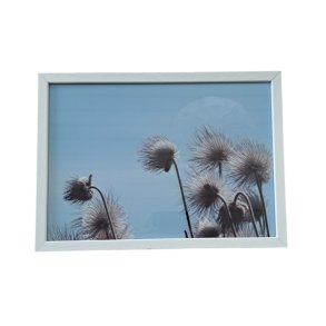 Ramme - 29,7 x 42 cm (A3) - hvid 