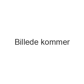 �blecider med hyldeblomst - alkoholfri - �kologisk